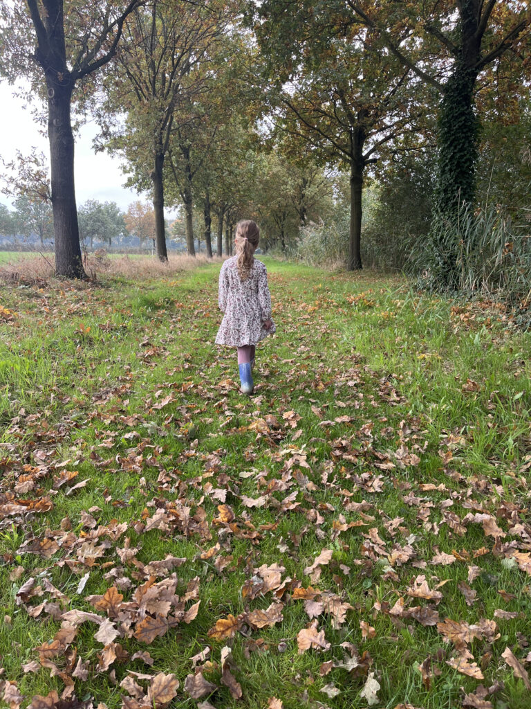 Een overzichtsfoto van een jong kind dat wegloopt van de camera over een grasachtig pad bedekt met gevallen herfstbladeren. Het pad wordt geflankeerd door hoge bomen en het kind draagt een gebloemde jurk en blauwe laarzen.